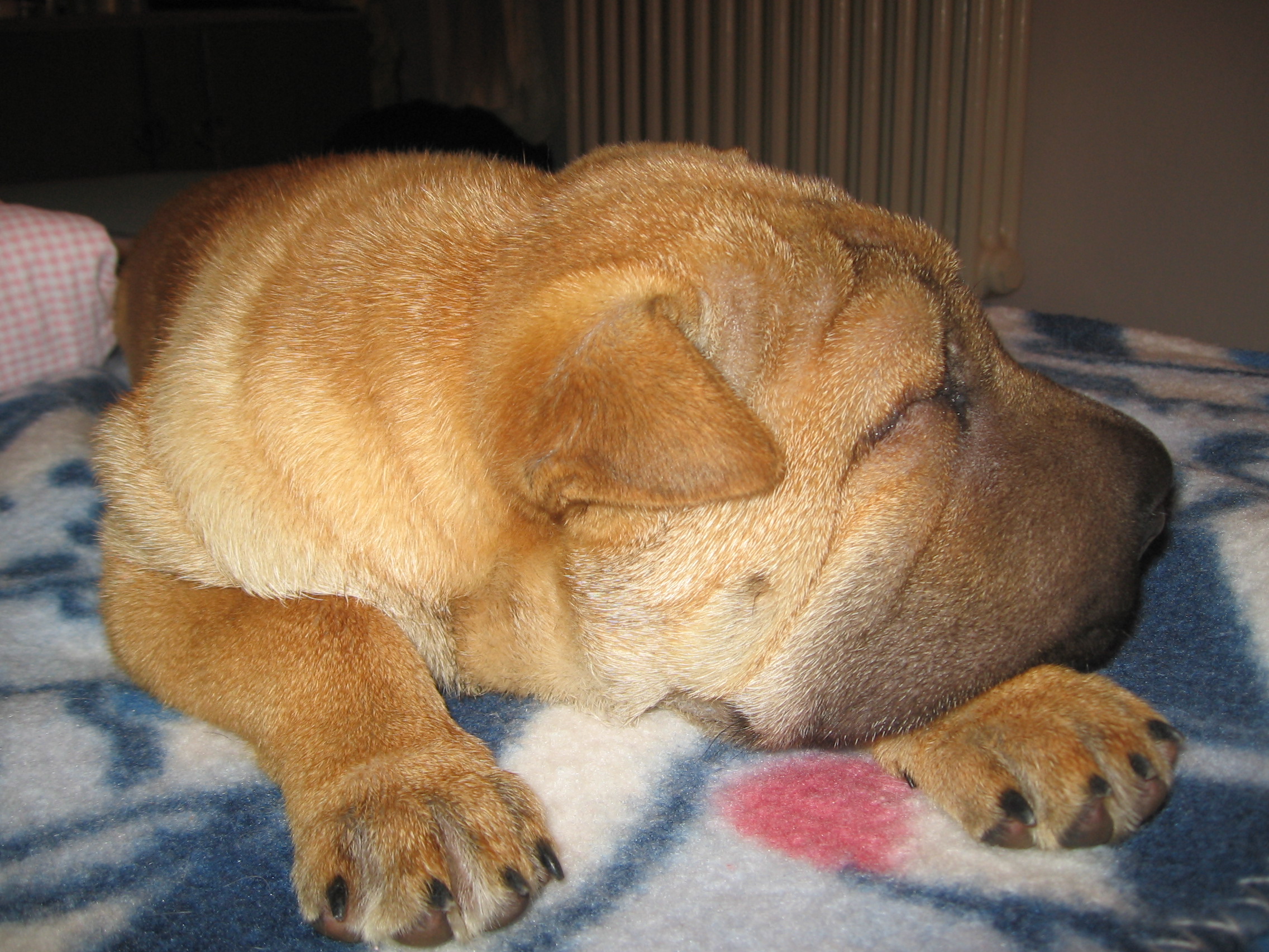Snímek 060.jpg